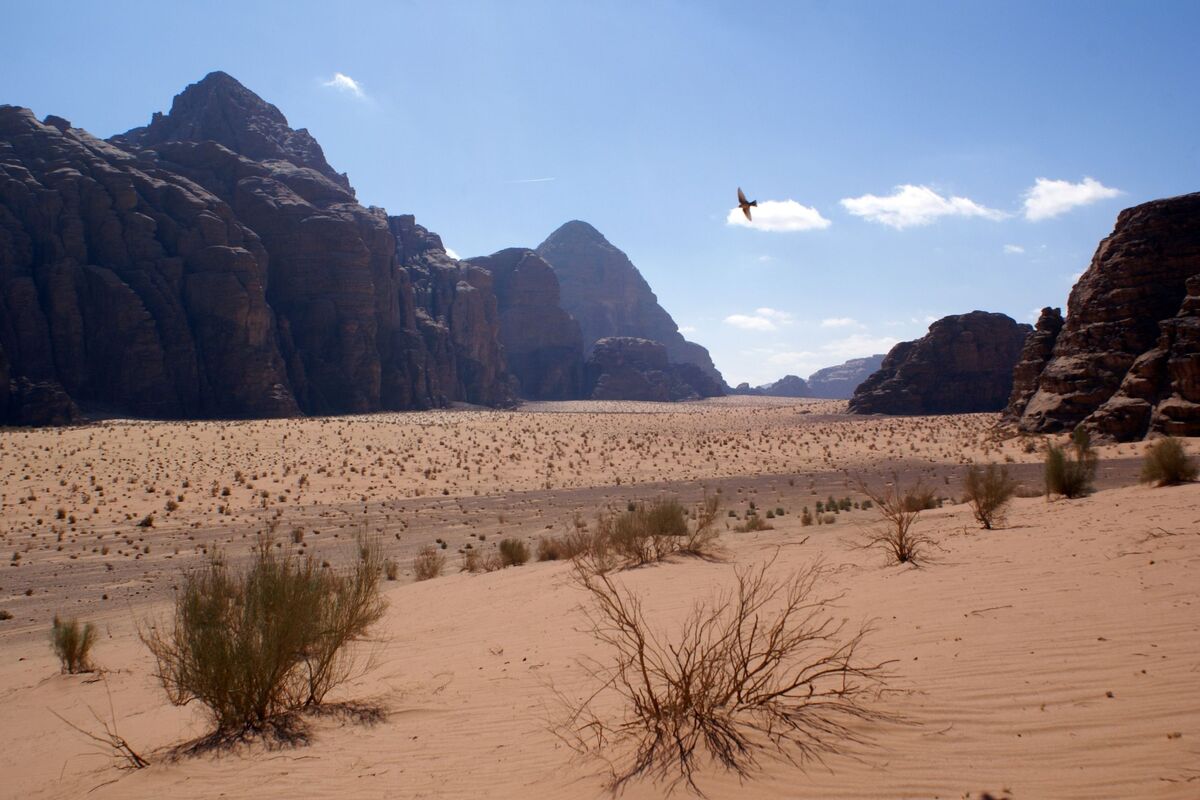 Wadi rum