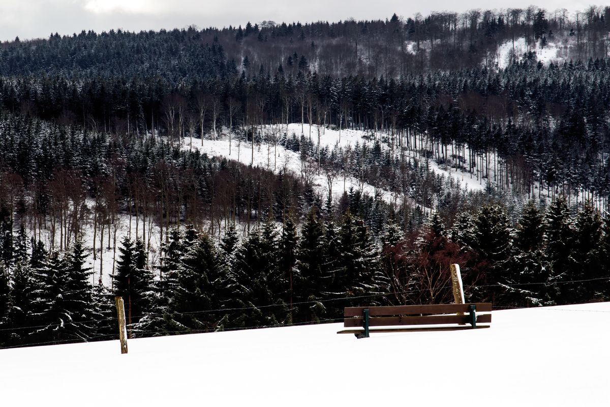 Besneeuwd Sauerland