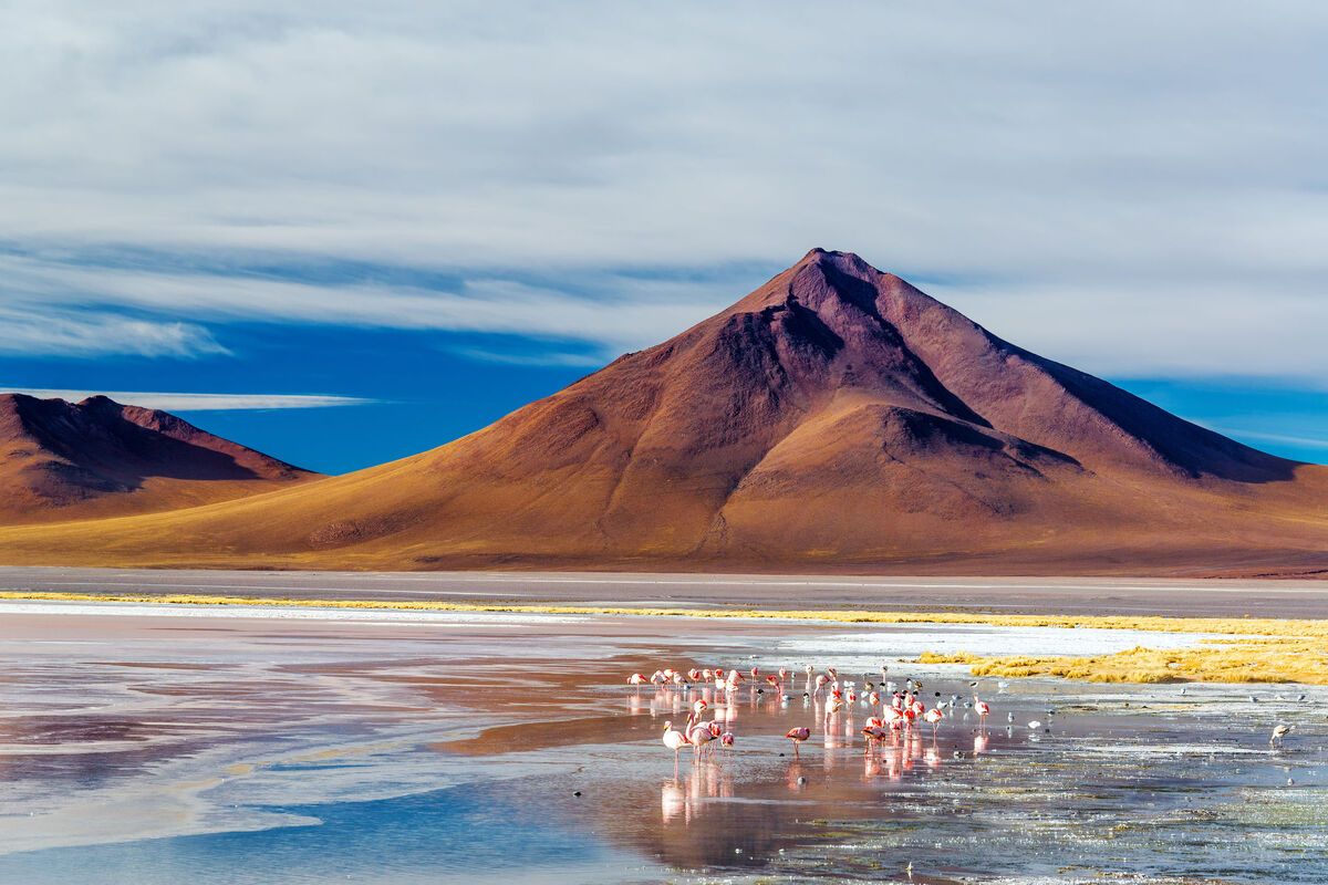 Laguna Colorada, Bolivia