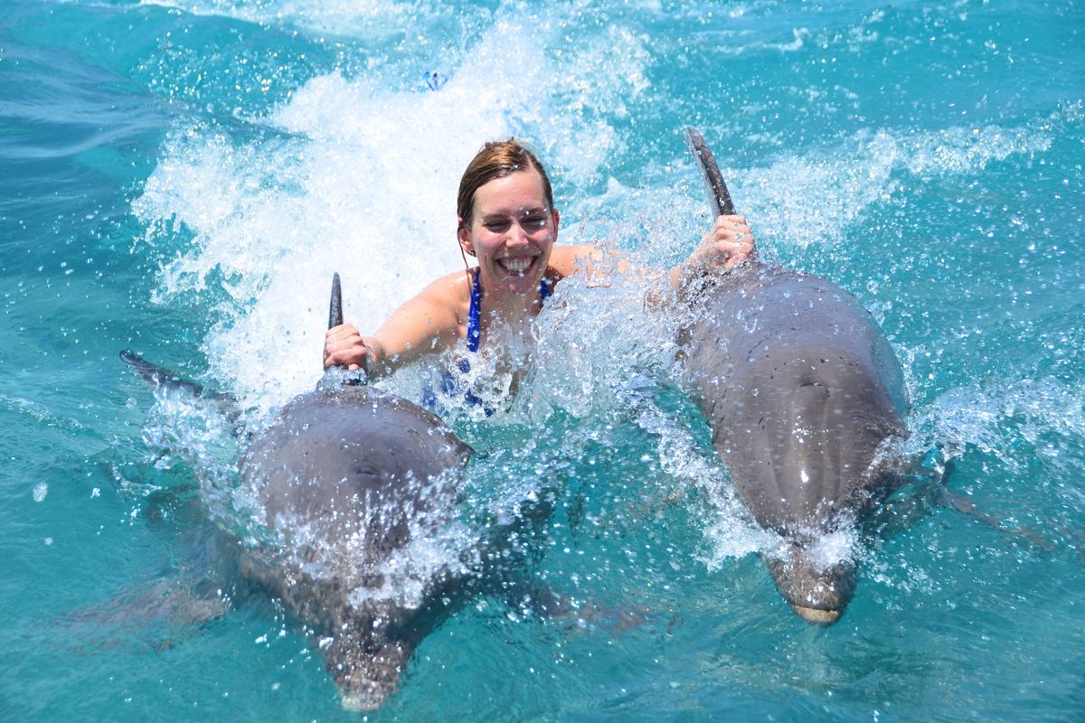 Zwemmen met dolfijnen in het Cura&ccedil;ao Sea Aquarium