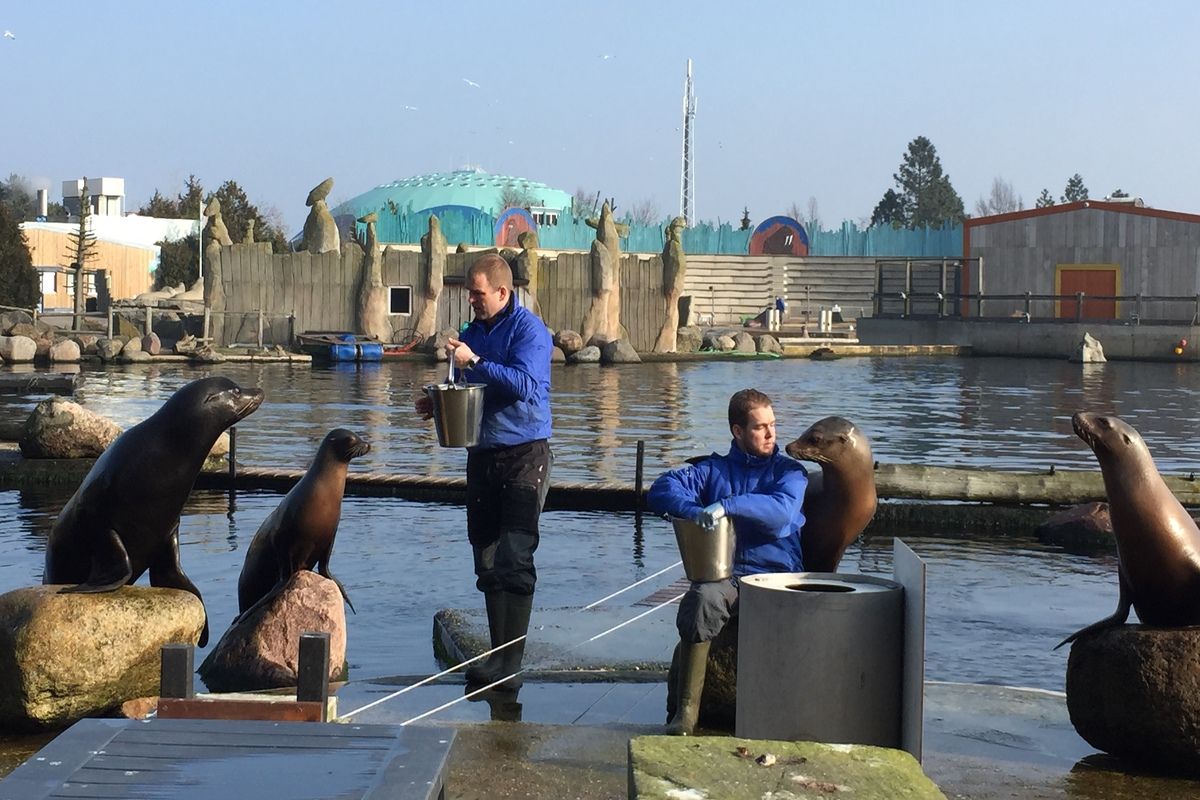 Dolfinarium, Harderwijk