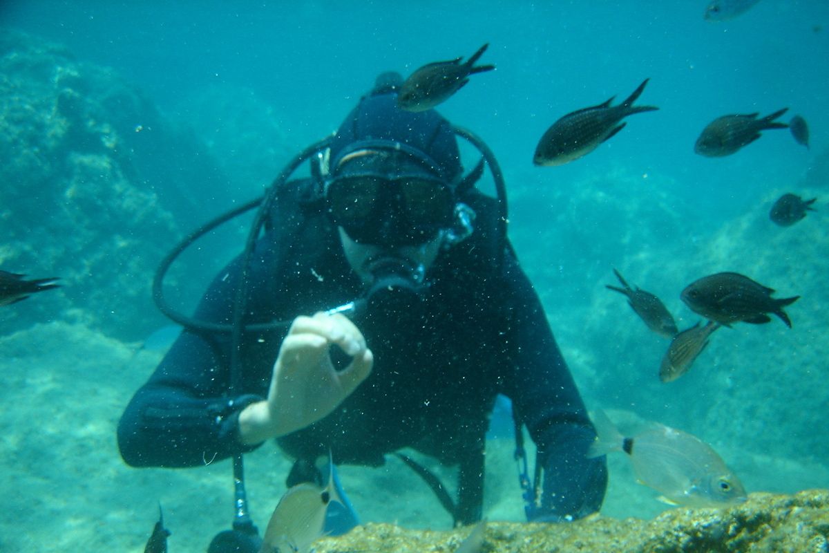 Duiker geeft sein onder water