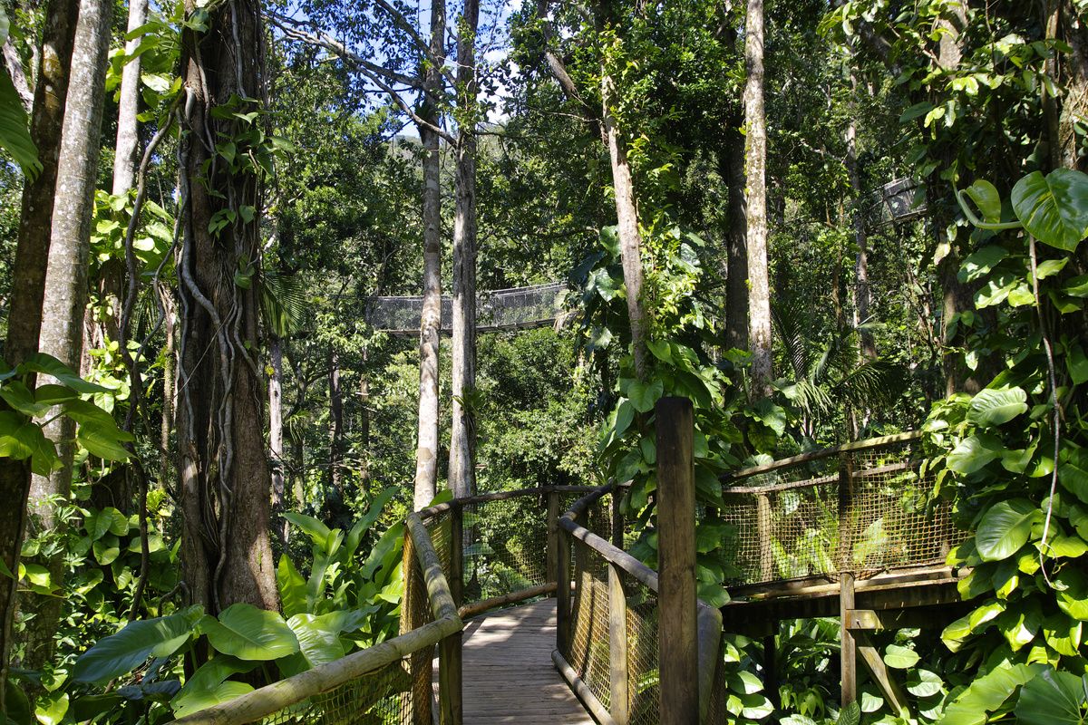 Prachtige natuur van Guadeloupe