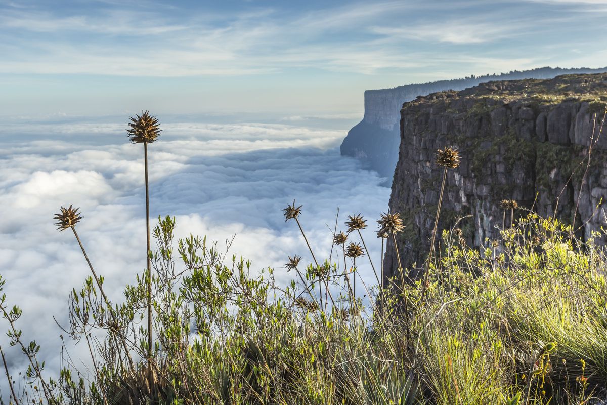 Mount Roraima