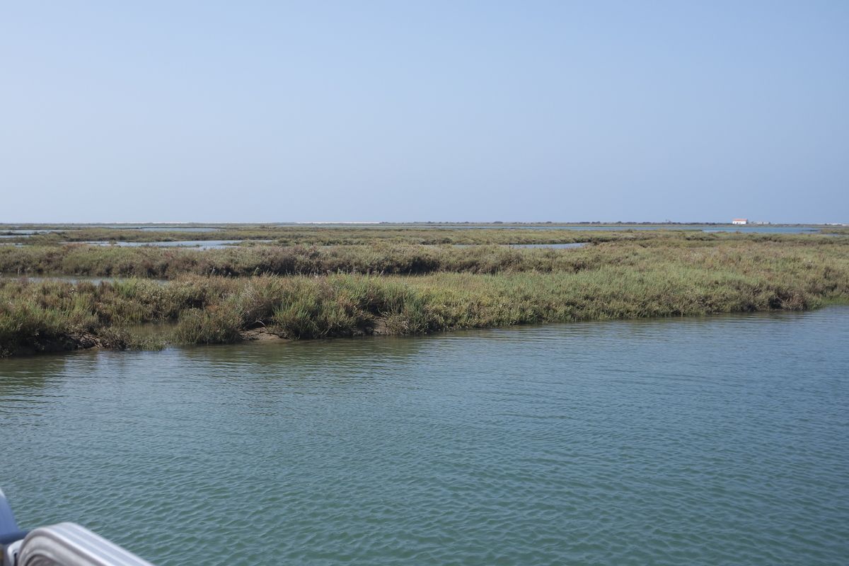 Natuurpark Ria Formosa