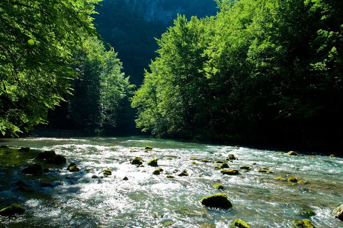 Rivier de Kupa die door Nationaal Park Risnjak loopt