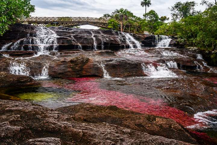 De gekleurde rivier Caño Cristales in nationaal park La Macarena