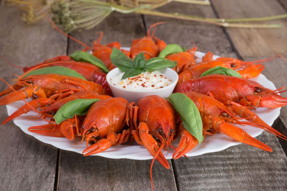 Rode langoesten, schelp- en schaaldieren