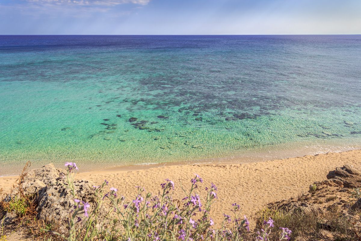 Een van de stranden bij de Campomarino duinen