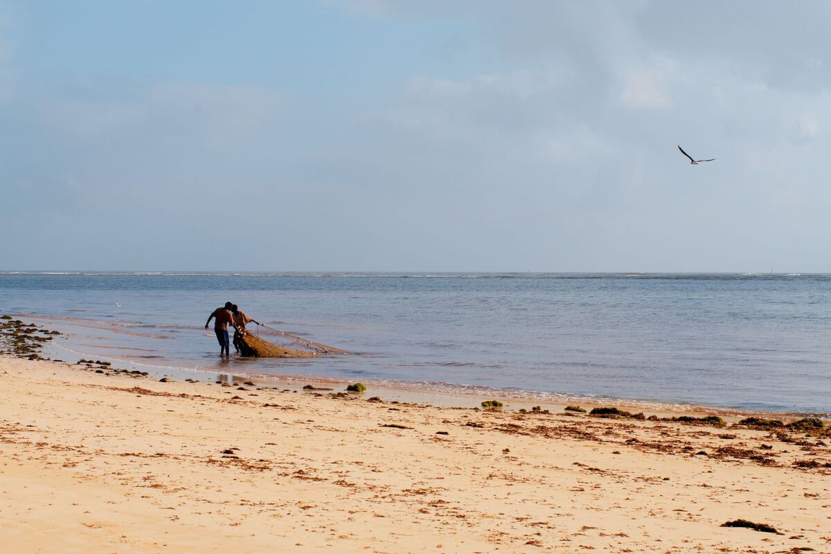 Mooi plaatje van Malindi