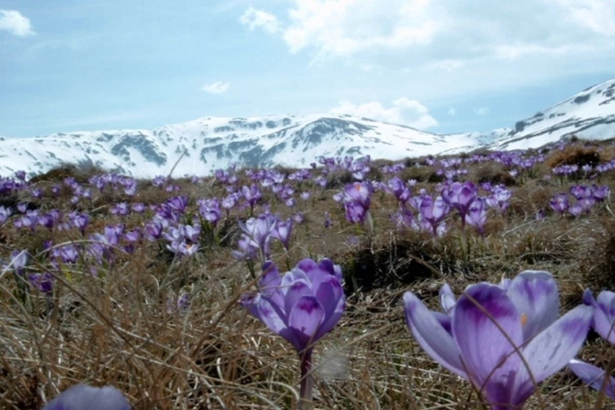 De prachtige natuur in Parcul National Munţii Rodnei