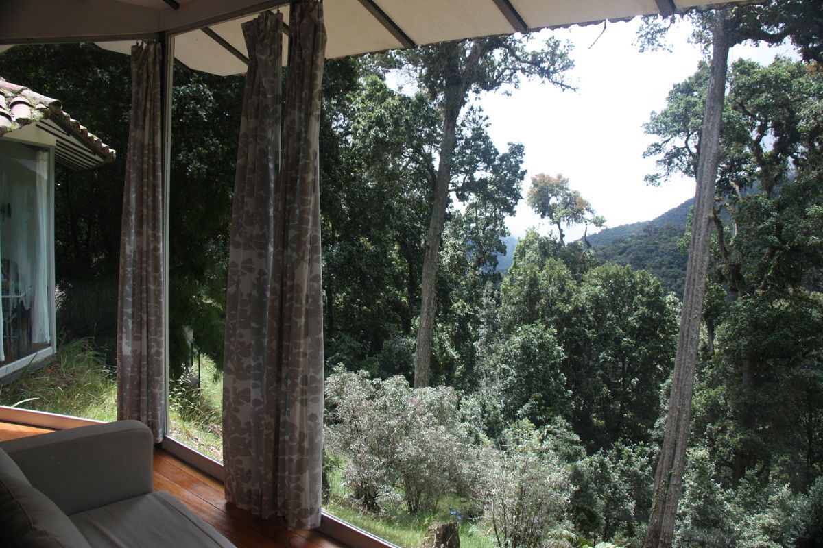 Enorme ramen zorgen voor een prachtig uitzicht op het bos