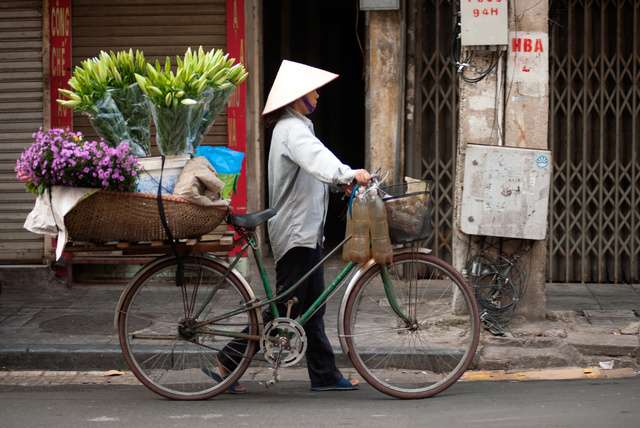 Het vieren van Vietnam
