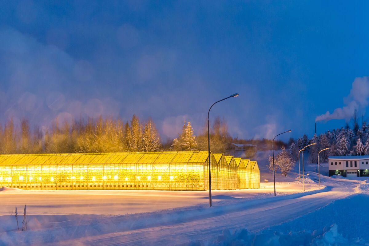 Kassen in Hveragerdi