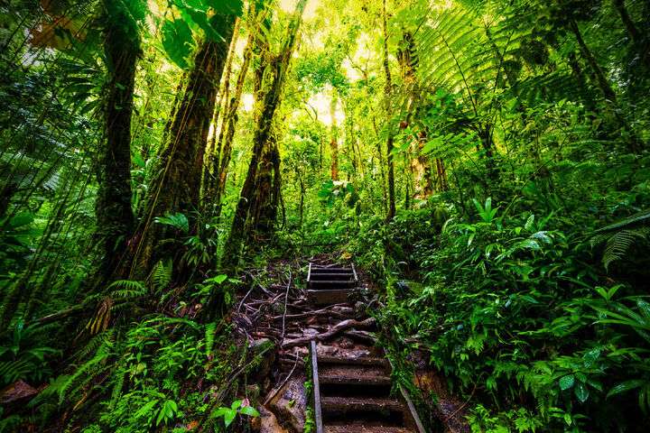 Basse-Terre, het groene gedeelte van Guadeloupe