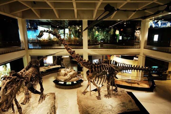 Houston Museum of Natural Science