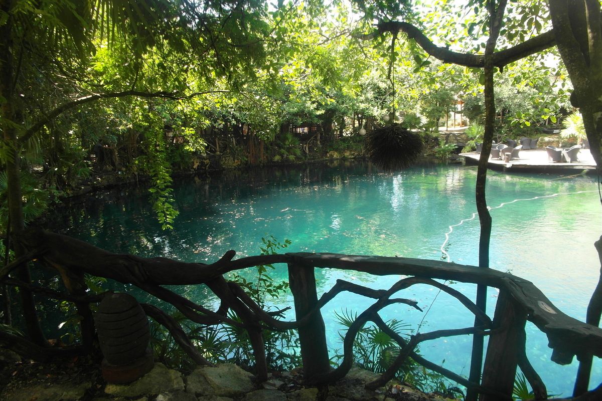 Foto van deze vakantie