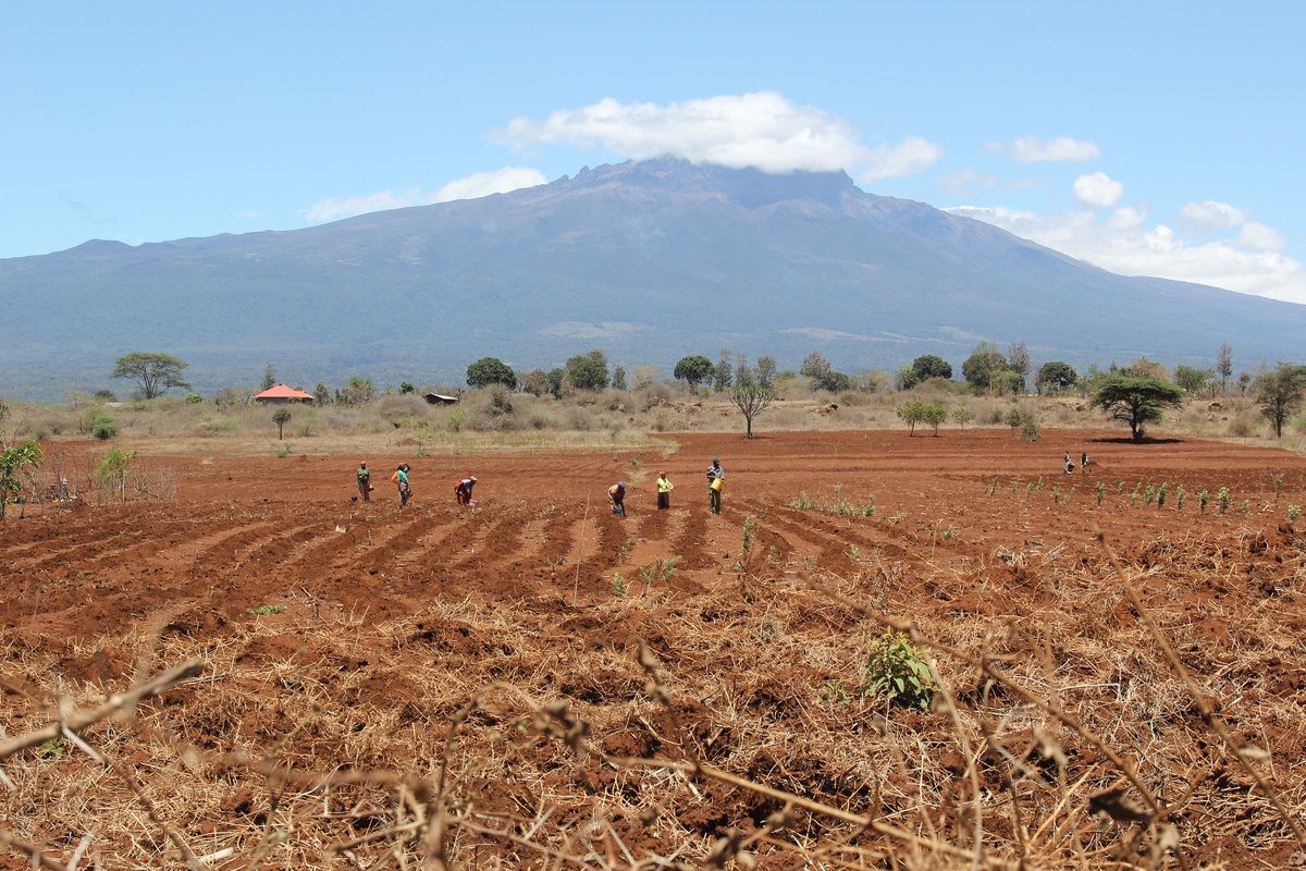 Foto van deze vakantie