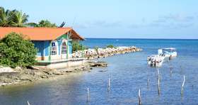 Saskia Griep van Better Places