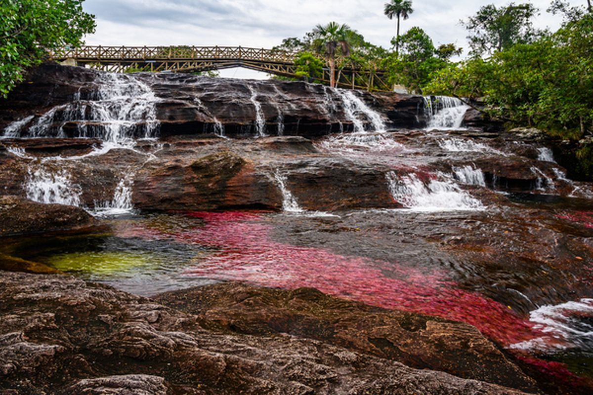 De gekleurde rivier Caño Cristales in nationaal park La Macarena