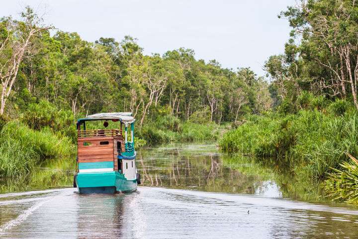 Tanjung Puting National Park