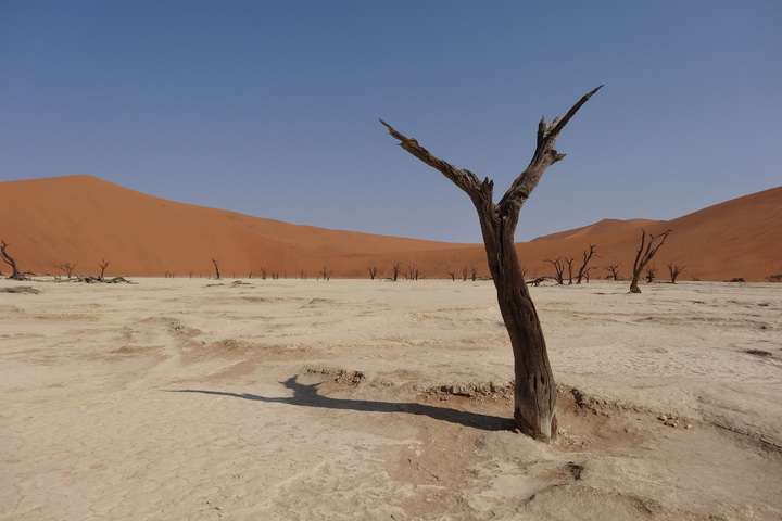Reizen in Namibië