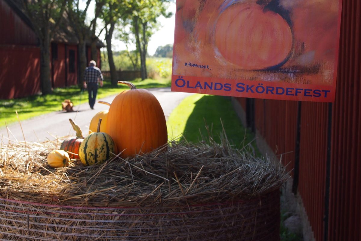 Een baal hooi met pompoen geeft aan dat er iets te zien of te doen is tijdens de Sk&ouml;rdefesten