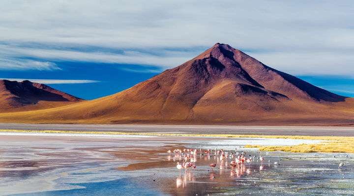 Laguna Colorada Uyuni, Bolivia