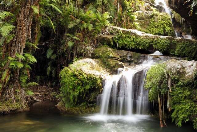 Alles over Parc National d'Andasibe-Mantadia