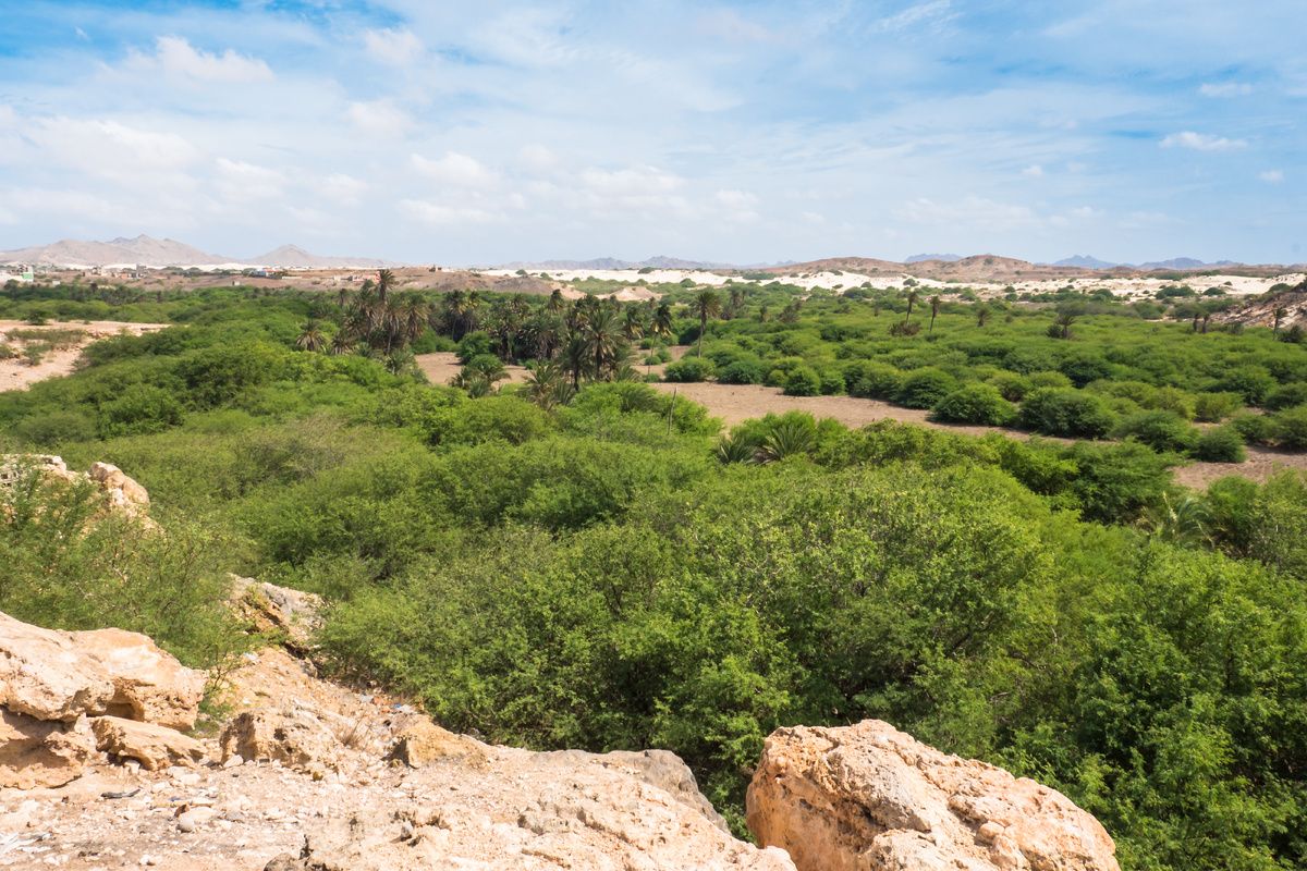 Een groene oase op Boa Vista