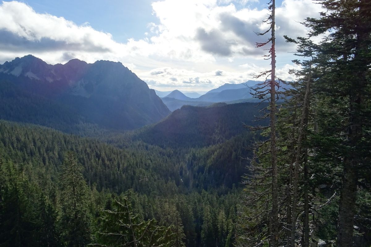 Mount Rainier NP