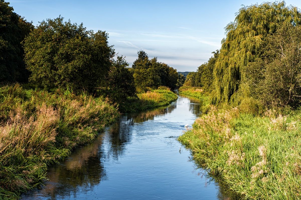 Ongerepte natuur in Zuid-Jutland