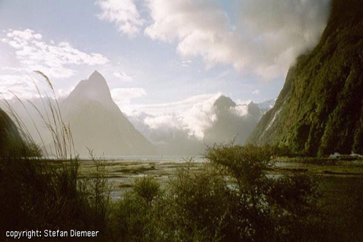 Milford sound, prachtig uitzicht, natuur, Nieuw-Zeeland