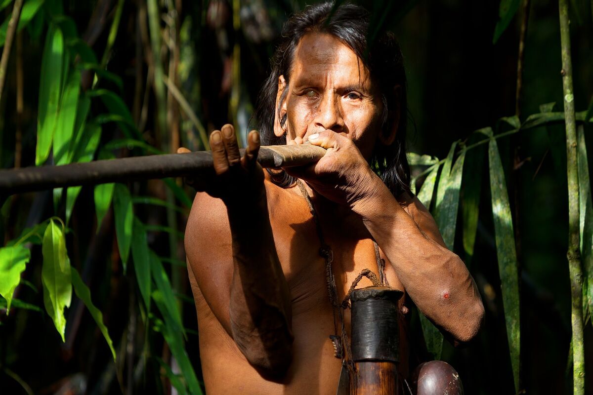 Huaorani jager, Yasuni National Park, Ecuador