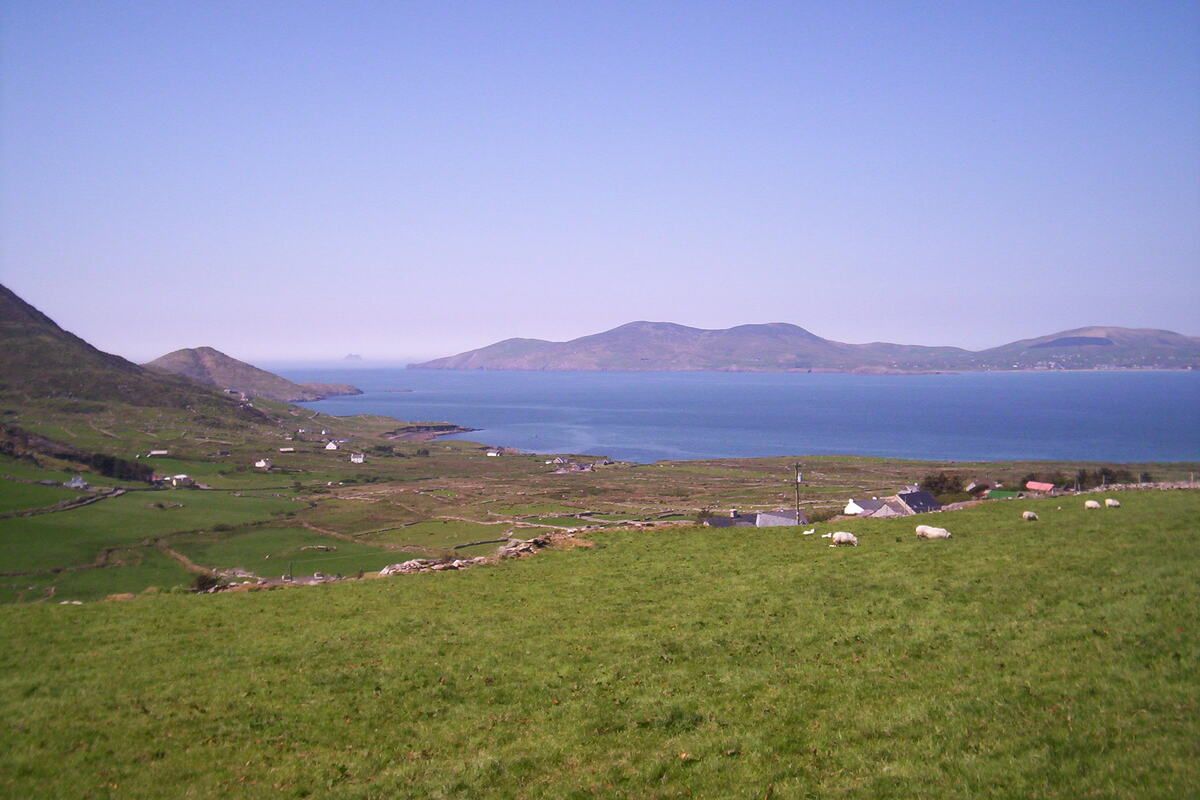 De prachtige groene omgeving van Kerry Way