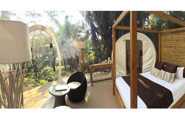  van 'Ginger / Lemon BUBBLE'