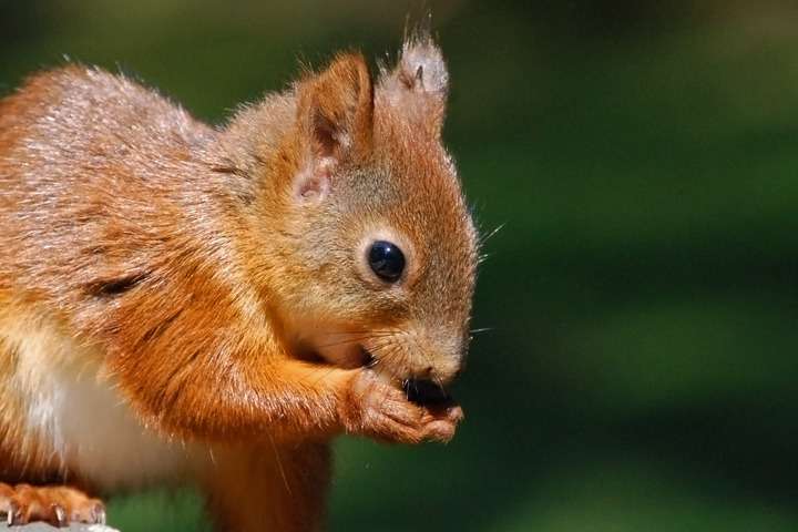 Cairngorms National Park