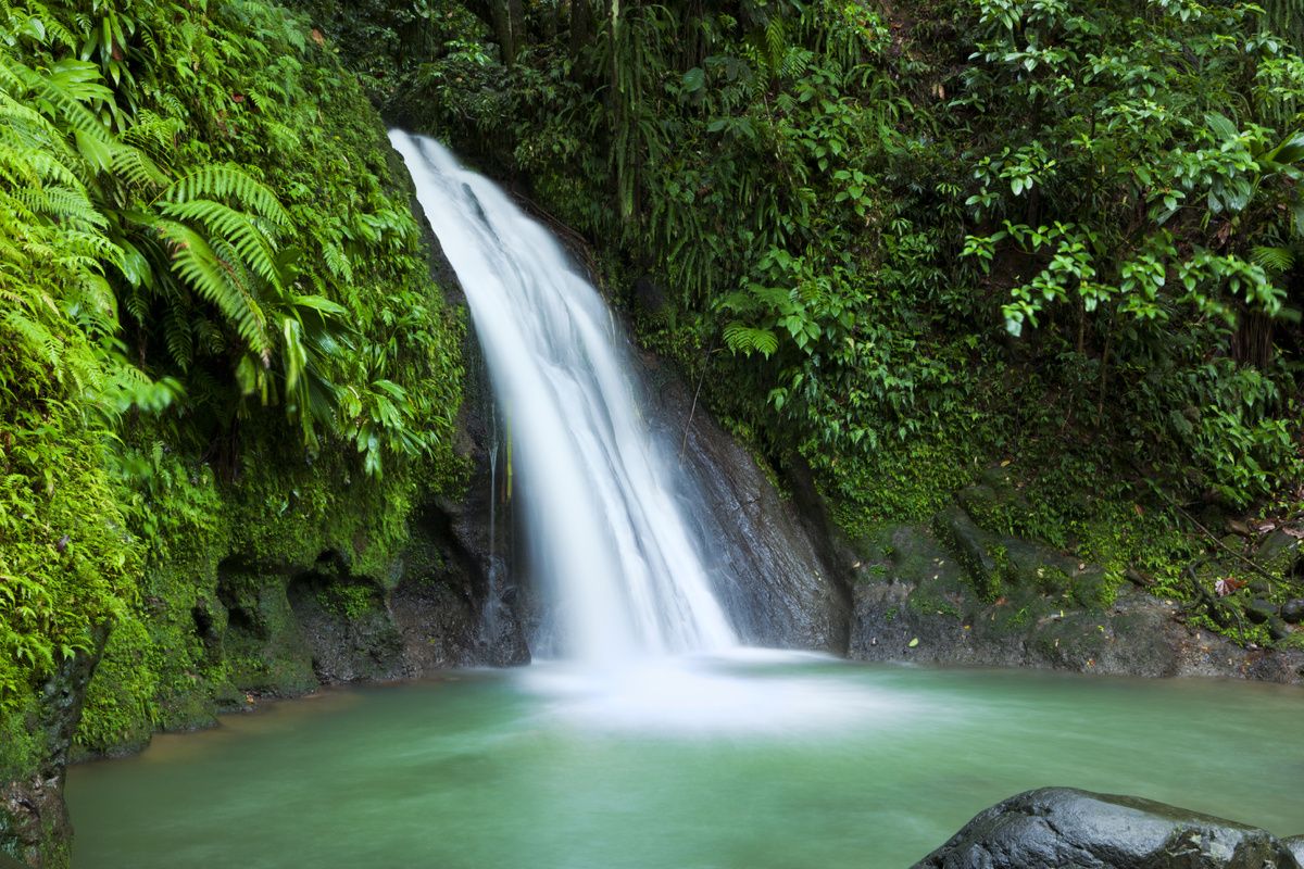 Watervallen op Basse Terre 