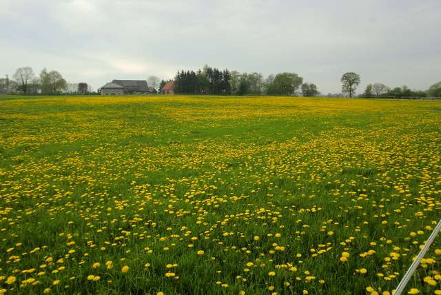Weekend weg in het Ruhrgebied