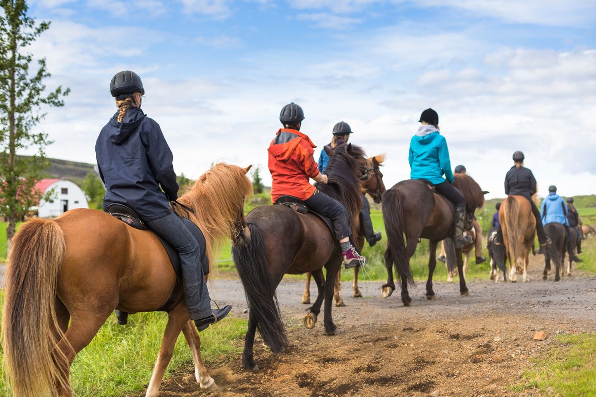 Paardrijden op IJslanders in IJsland