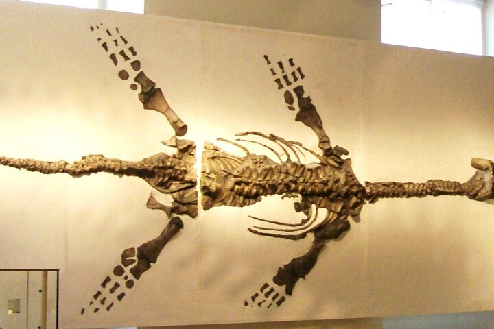 New Walk Museum & Art Gallery