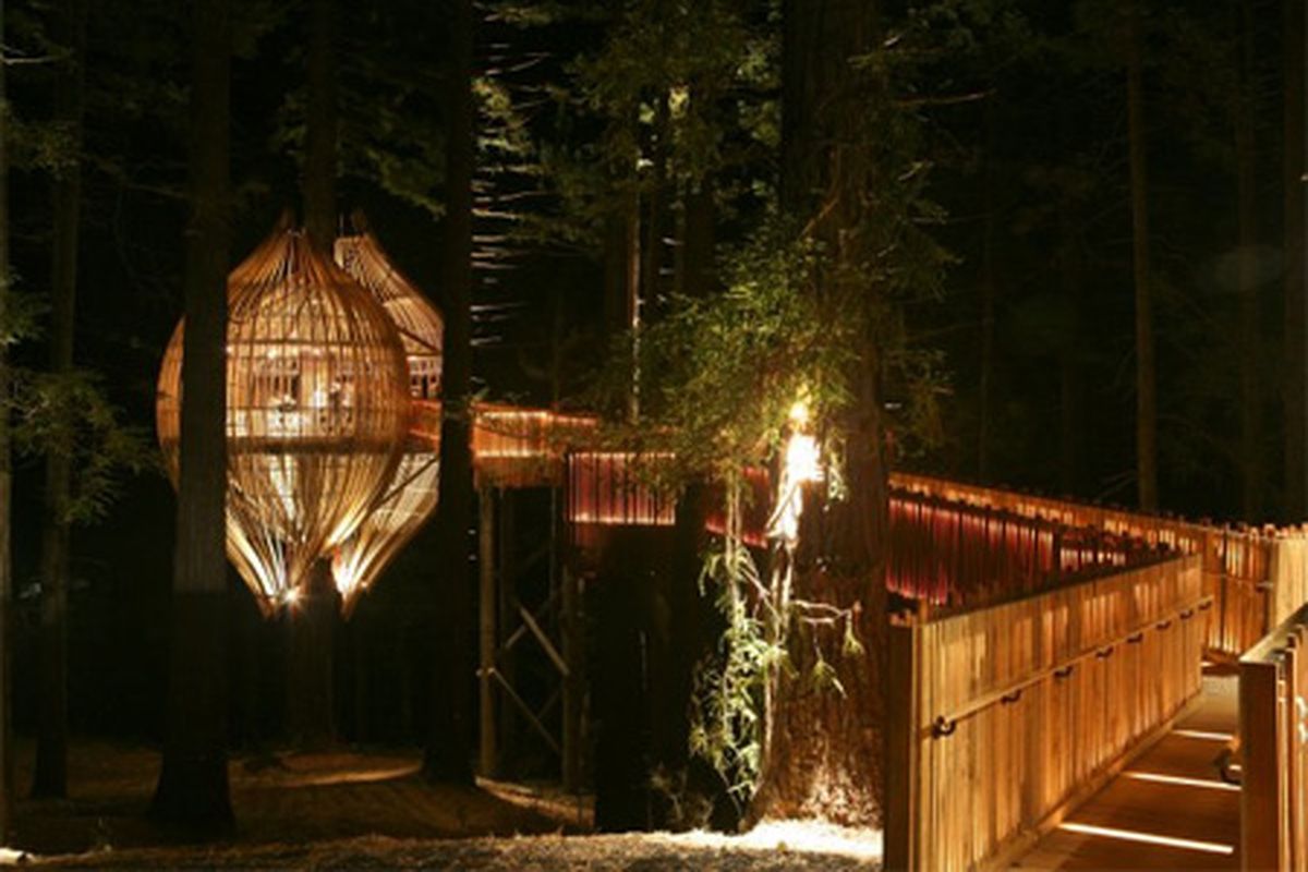 Treehouse restaurant in Nieuw-Zeeland