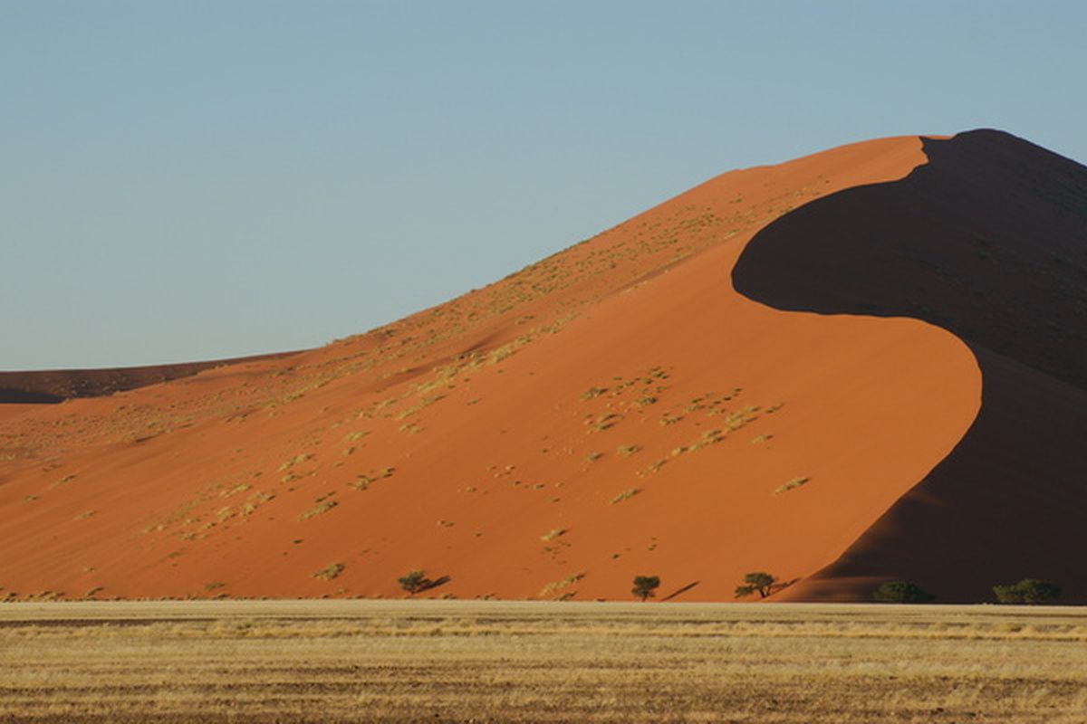 Zandduinen in de Namib woestijn