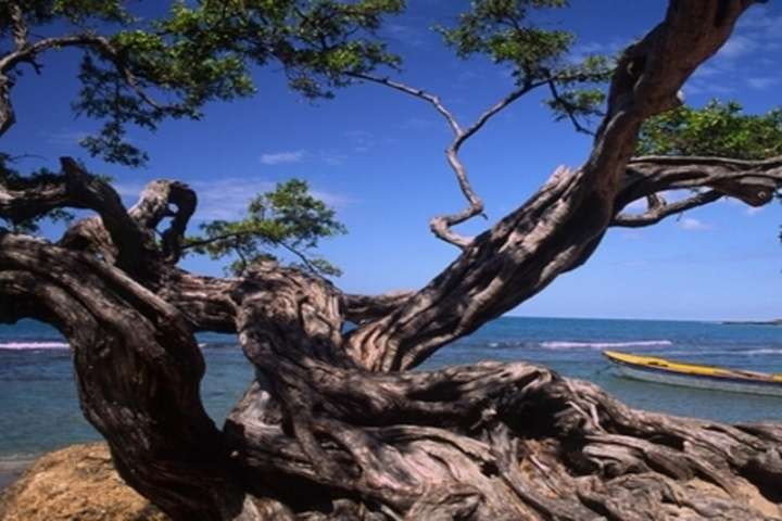 Runaway Bay bij de Runaway Caves