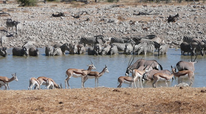 Nationaal park Namibi