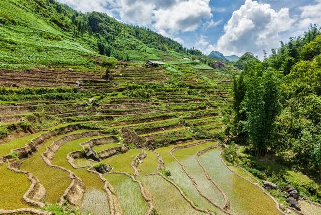 Reizen in... Vietnam