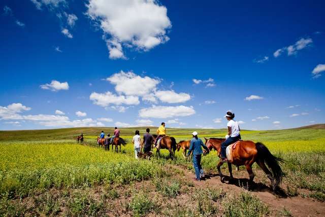 Paardrijden in Mongolië