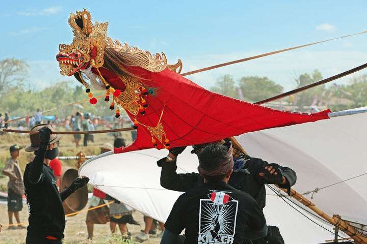 International Kite Festival