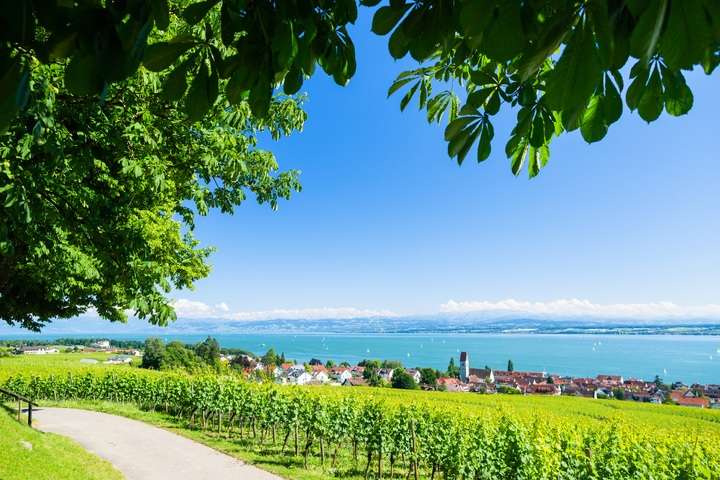 De Bodensee met op de achtergrond de Alpen