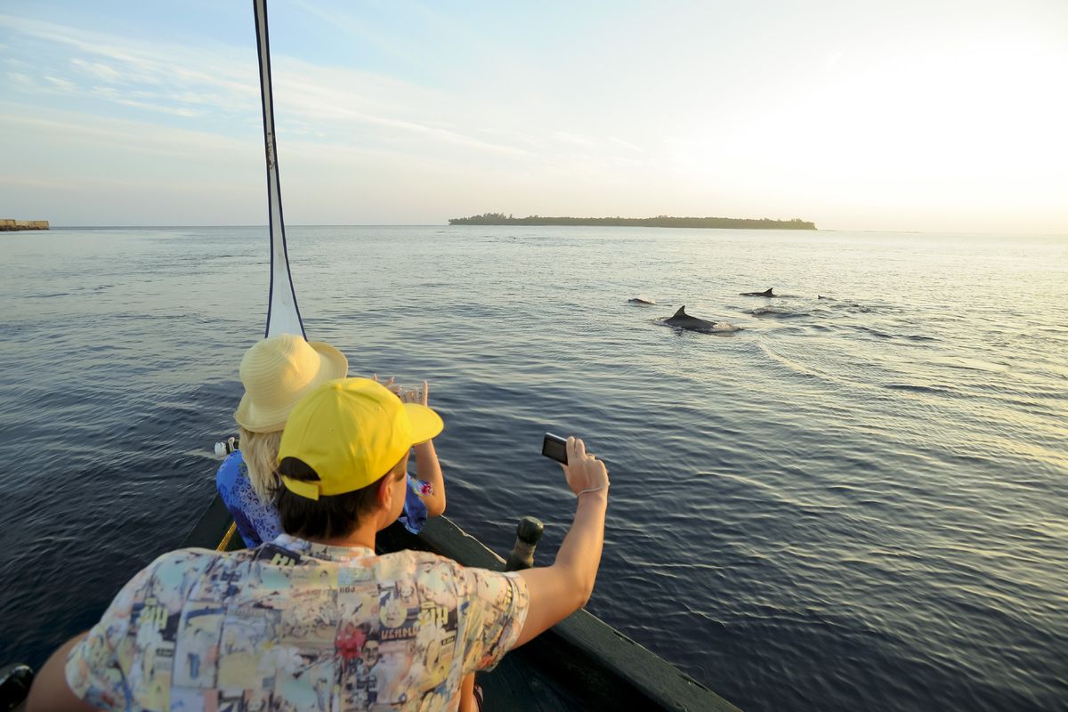 Bij dit resort is het mogelijk om dolfijnen te gaan spotten.